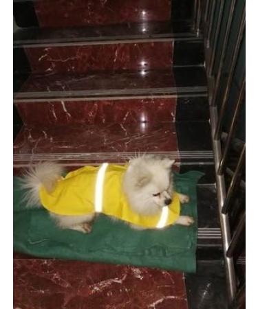 Buy Ocsoso Waterproof Dog Raincoat - Comfortable & Breathable Jackets for Small/Medium Dogs (Yellow S/M) - International Shipping Available - Buy Online on GoSupps.com