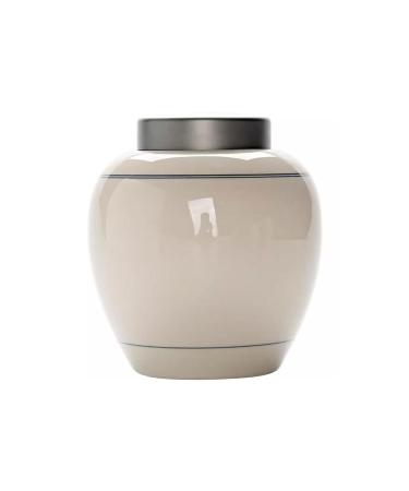 ISolay Tea Set Ceramic Tea Caddy Tea Cans Sealed Cans Tea Storage Cans Household Retro Tea Cans Handmade Ceramic Cans