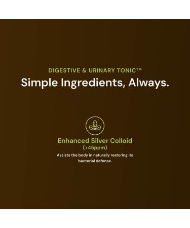 Nature s Rite Digestive & Urinary Support 45 ppm Silver Colloid for Immune Support (8 oz) - Buy Online on GoSupps.com