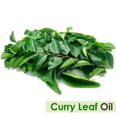 100% Pure Salvia Curry Leaf Oil - Premium Aromatherapy Essential Oil (15ml) - Natural & Undiluted Ships Internationally - Buy Online on GoSupps.com