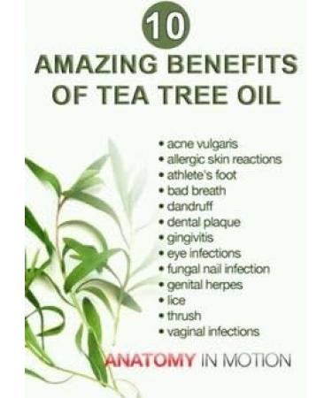 100% PURE JAMAICAN BLACK TEA TREE OIL 4oz - With FRAGRANCE - By SONIK PERFORMANCE | P+50 ORGANIC - For Face Hair Body and Nails - hot oil treatment - Great for Dermatitis Psoriasis Eczema Brittle Nails Dry Hair & Scalp Burns Pain Stretch Marks Rosacea Cut - Buy Online on GoSupps.com