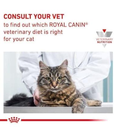 Royal Canin Sensitivity Control Cat Wet 12 x 100g - Chicken & Rice Pouch - Buy Online on GoSupps.com