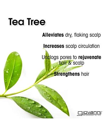 GIOVANNI Tea Tree Triple Treat Invigorating Shampoo & Conditioner Set - 8.5 Oz - Cooling Peppermint Eucalyptus Rosemary - Salon Quality Vegan, Cruelty Free, Paraben Free - Buy Online on GoSupps.com