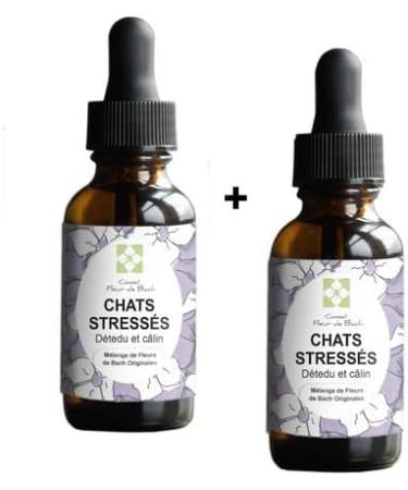 Bach Flower Advice - Bach Flowers Stressed Cat A Blend That Will Help Your Cat Calm Down 10 ML Bottle - Buy Online on GoSupps.com