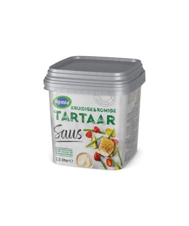 Remia Tartaar Saus 2500ml bucket (Tatar Sauce)