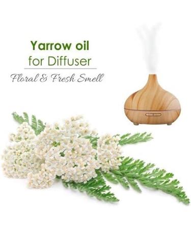 Yarrow Essential Oil 100% Pure & Natural - Undiluted Uncut Cold Pressed Aromatherapy Premium Oil - Therapeutic Grade - 15 ML with Dropper Yarrow 15 ml (Pack of 1) - Buy Online on GoSupps.com