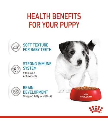 ROYAL CANIN Mini Puppy | Double Pack | 2 x 12 x 85 g | Wet Food for Small Puppies | Up to 10 Months of Age | Small Pieces in Sauce | Soft Texture for Baby Teeth - Buy Online on GoSupps.com