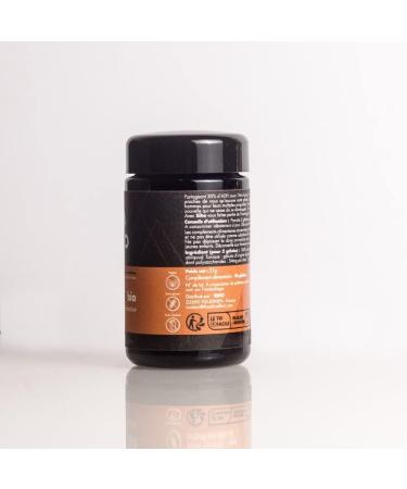 Siho - Organic Chaga Extract - Health and Immune System Dietary Supplement - Finnish Chaga 100% Organic Highly Bioavailable No Additives - Pot of 90 Capsules - Buy Online on GoSupps.com