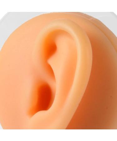 Silicone Ear Model Soft Flexible Fake Ear Piercing Practice Model Silicone Body Parts Realistic Ear Mold for Jewelry Display Teaching Tool Style3 - Buy Online on GoSupps.com