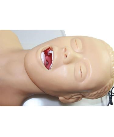 Oral Nasal Intubation Trainer | PVC Electronic Silicone Simulator for Adult Airway Management - Buy Online on GoSupps.com
