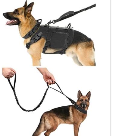 Tactical Dog Collar with Control Handle & Leash | Military-Grade Soft Padded Nylon | Durable & Comfortable - Buy Online on GoSupps.com