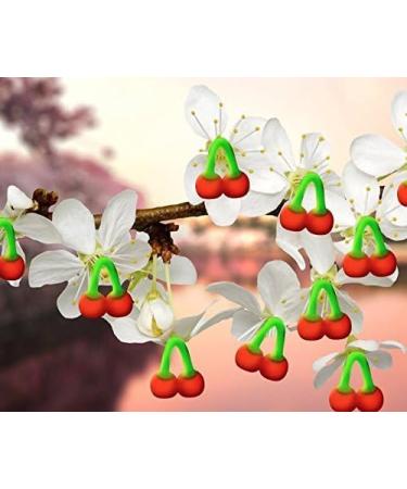 Double Cherry (Halal Jelly) 7.5g Delicious Tasty And Twisty Treat Gift Hamper For Birthday Christmas Sold By Kidzbuzz - Buy Online on GoSupps.com