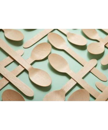 KingSeal Disposable Birch Wood Cutlery Spoons 6.25 Inch - 100 Count Pack | Biodegradable & Earth Friendly - Buy Online on GoSupps.com