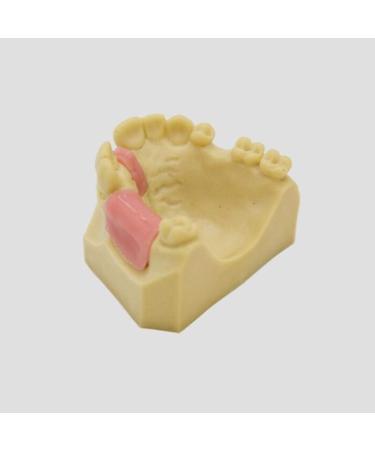 Denture Repair Resin - Medical Training Aid for Dental Education & Planting Training - Buy Online on GoSupps.com