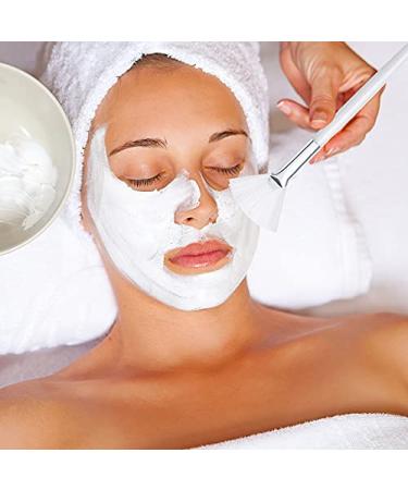 Silicone Fan Brushes for Facials - 4 Pcs Face Mask Applicator Set for Makeup & Skin Care - Buy Online on GoSupps.com