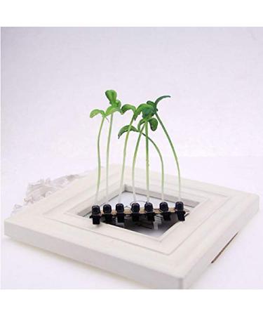 9-Piece Grass Hair Clips & Soybeans Hairpins - Cute Green Leaf Accessories for Women Girls & Kids - Perfect Gift! - Buy Online on GoSupps.com