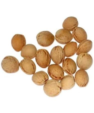 Shop 2-Piece Set of Cherry Stone Pillows - 11 Colors Dots Design 600g | Warming Grain Pillows for Comfort - Buy Online on GoSupps.com