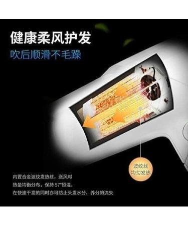 JYYBN Hair Dryer. Hair Dryer Home Dormitory Hotel Bed and Breakfast High-Power Blowing Silent Hair Salon Special Non-Injury Hair Dryer - Buy Online on GoSupps.com