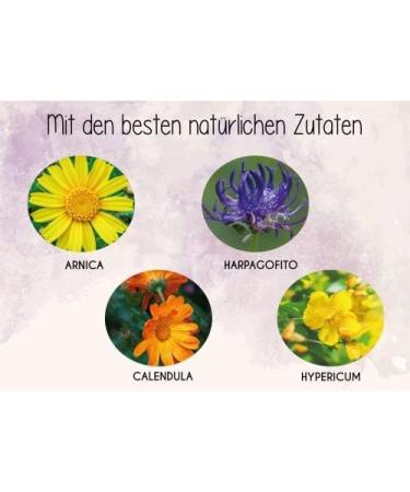 Physio Gel 2.5 fl oz - Arnica Natural Gel for Back, Muscle, Neck, and Joint Discomforts - St. John's Wort Oil, Devil's Claw, Calendula, Menthol - Immediate Relief - Buy Online on GoSupps.com