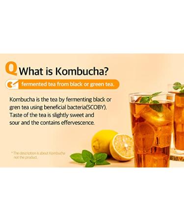 RAWEL Kombucha Powder Lemon 150g (5g x 30) - Prebiotic Drink Mix for Gut Health & Immunity - Buy Online on GoSupps.com