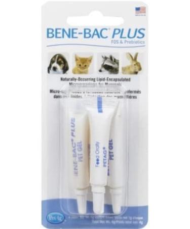 Bene-Bac Pet Gel 4-Pack - Promotes Digestive Health - 4 Tubes, 1g Each - Buy Online on GoSupps.com