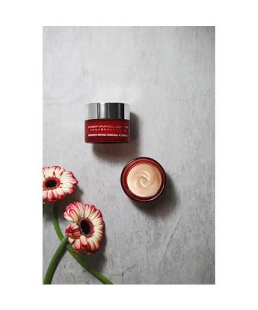 Dermelect Redness Rehab Concealer with Peptides & Hyaluronic Acid - 0.6 oz - Buy Online on GoSupps.com