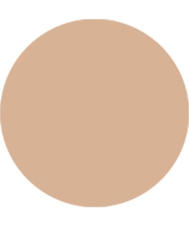 WYCON cosmetics MATT CONTROL Fluid Foundation Oil-Free Fluid Foundation with Matte Finish and Modular Coverage - 04 Natural Environment - Buy Online on GoSupps.com