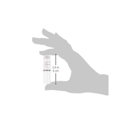 Annemarie B rlind Purifying Care Concealer for Women - Dark Shade 1 Pack | International Shipping Available - Buy Online on GoSupps.com