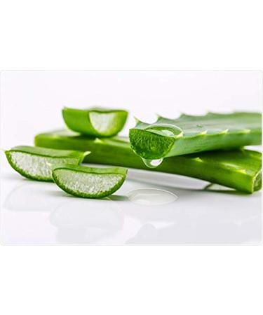 Buy Aloe Vera Clear Gel - Pure Transparent Multipurpose Gel for Face Body & Hair - 100g | International Shipping - Buy Online on GoSupps.com