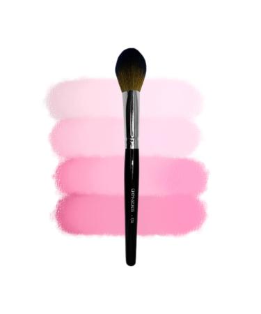 Buy Cinema Secrets P74 Precision Powder Brush - Best eCommerce for International Shipping - Buy Online on GoSupps.com