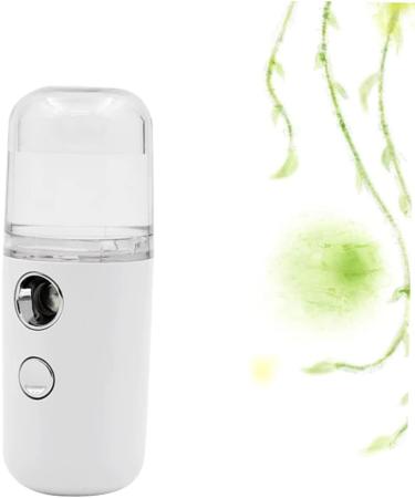 FOMIYES Nano Facial Mister 1pc Mini Spray Bottle Air Humidifier Facial Water Sprayer Cool Mist Tool Steamer Charge - Buy Online on GoSupps.com