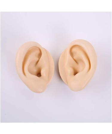 Silicone Ear Model for Acupuncture - Soft Silicone Ear Model for Teaching - 1 Pair Artificial Ear Model for Ear Picking Practice Studs Earring Display Props