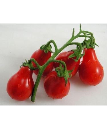 30 Rosso Tomato Pear 2018 (All Non-ogm semi-cimel Vegetable!)