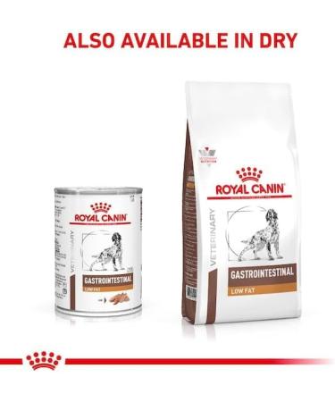 Royal Canin Veterinary Gastrointestinal Low Fat Mousse for Dogs - 12 Pack | Digestive Support & Weight Management | 420g Cans - Buy Online on GoSupps.com