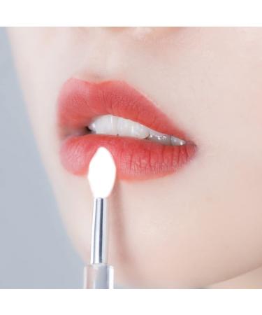 Silicone Lip Brushes - Portable Lipstick Applicator Wands & Mini Lip Scrub Brush (4PCS) for Perfect Lips | Shop Internationally - Buy Online on GoSupps.com