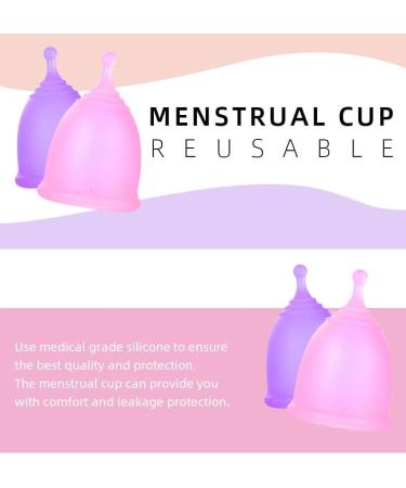Florauspicious Reusable Menstrual Cup Set - 2 Pack (Small Pink) | Eco-Friendly Female Care - Buy Online on GoSupps.com