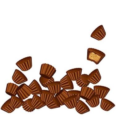 REESE'S Mini Peanut Butter Candy Holiday Candy Reese's Candy Mini Candy Bulk Candy to Share Good for Kids Candy 800g 800 g (Pack of 1) - Buy Online on GoSupps.com