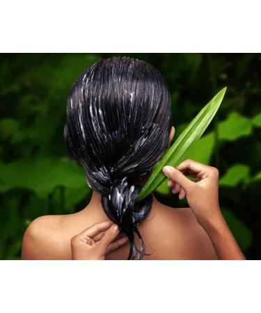 ALOE REPAIR SHAMPOO | Revitalize Over-Processed Hair Add Body & Softness | International Shipping Available - Buy Online on GoSupps.com