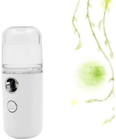 PLAFOPE 3 Pcs Atomizer Clipper Guard Holder Mist Sprayer Umidificador De Ar Sprayer Face Tool Portable White - Buy Online on GoSupps.com