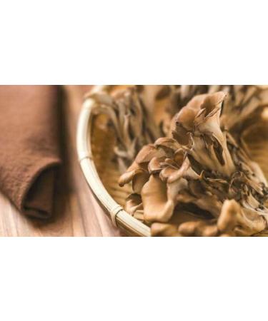 Organic Medicinal Mushroom Mix Coffee | 250G - Buy Online on GoSupps.com