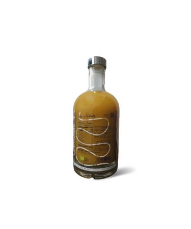 Gimber Limited Edition with Diane von F rstenberg - Original N 1 | Alcohol-Free Organic Ginger Drink | Premium 700ml Bioty Beverage with Lemon & Herbs - Buy Online on GoSupps.com