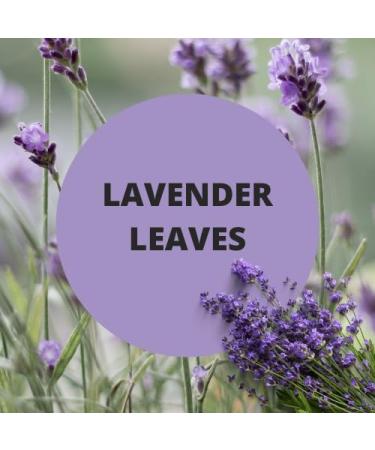 Black Canyon Lavender Leaves Scented Petroleum Jelly For Skin 16 Oz - Buy Online on GoSupps.com