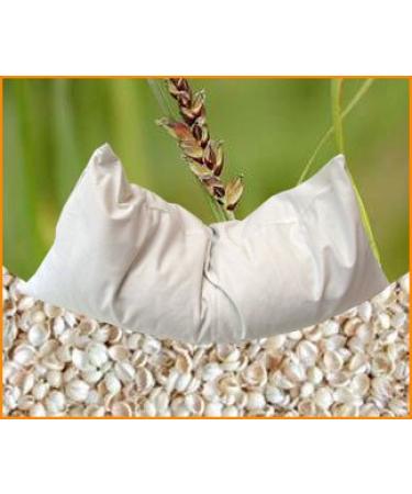 Organic millet pillow 40 x 80 cm with insert made of 100% organic cotton