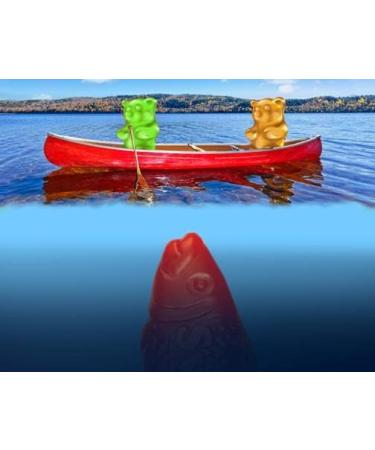 Maynards Original Gummies Candy Gummy Candy Bulk Candy 60 g (Pack of 18) - Buy Online on GoSupps.com