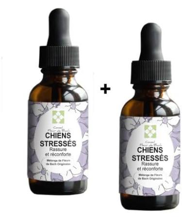 Floral Elixir Blend for Stressed Dogs - Quickly Comfort Your Dog. This Blend is a Natural Anti-Stress for His Daily Life (30ML) Pack of 2 - Buy Online on GoSupps.com