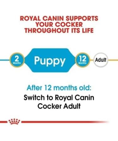 Royal Canin Cocker Puppy Food 3kg - Buy Online on GoSupps.com