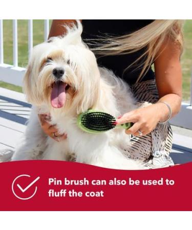 Coastal Pet Safari 2-in-1 Dog Brush with Plastic Handle - Pin and Bristle Combo for Short and Long Hair - Large Size - Buy Online on GoSupps.com
