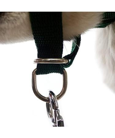 Champion Anti-Pull Training Halter for Dogs - Padded 6 Black | Comfortable & Effective International Shipping - Buy Online on GoSupps.com