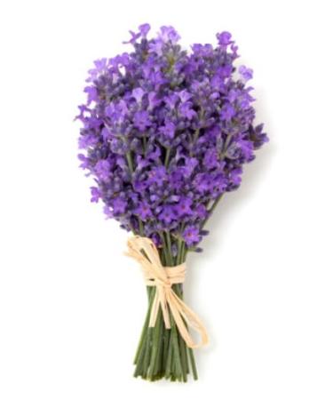 Onyx Skin Care Line Anti-Aging Body Lotion for Women - Lavender Fragrance 8 oz - Buy Online on GoSupps.com