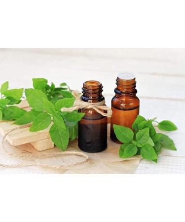 Herbal Magic's Pure and Natural Panch Tulsi Drops-Extract of Five Types of Holy Basil - Shyam Tulsi Shwet Sursa Tulsi Nimbu Tulsi Van Tulsi-Most Revered in Ayurveda-Liquid/Drops 30ml (Pack of 3) 30.00 ml (Pack of 3) - Buy Online on GoSupps.com